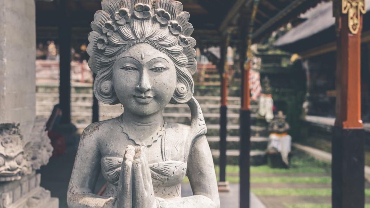 zeci de credinciosi au baut urina de vaca pentru a se proteja de noul coronavirus