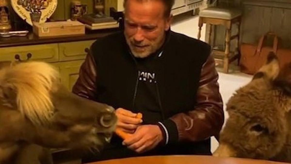 carantina de lux ce fac starurile care s au izolat la domiciliul lor de cinci stele