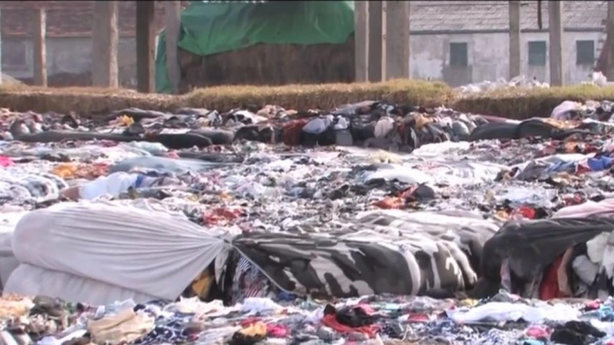 alt container deseuri port agigea