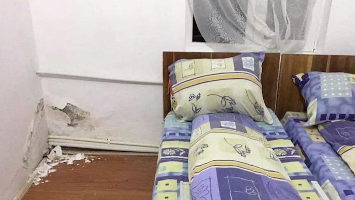 conditii mizere carantina buzau gandaci miriapode camera