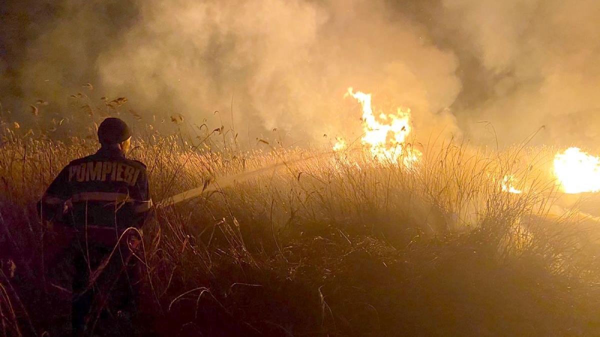 incendiu 300 hectare rezervatia delta dunarii grindul lupilor
