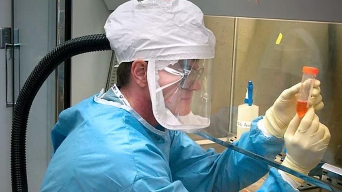 organizatia mondiala a sanatatii coronavirus inamic