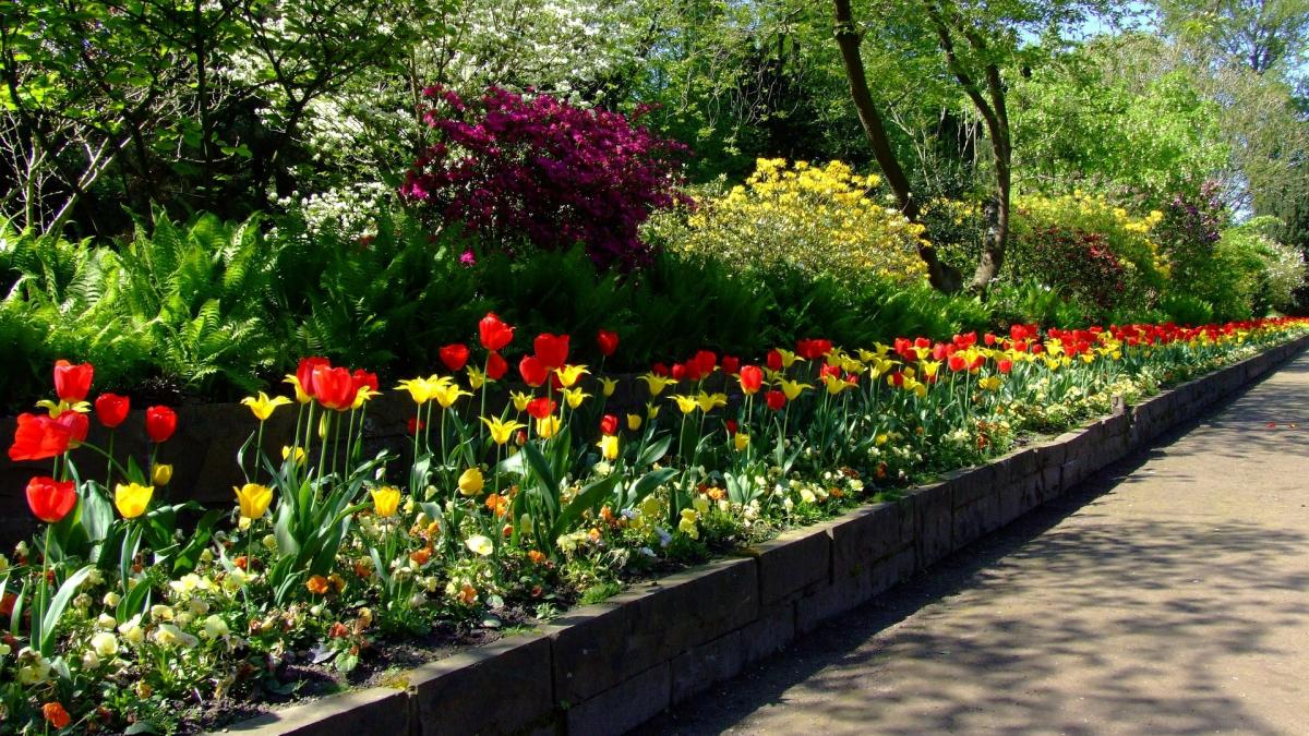 vremea urmatoarele zile martie 2020