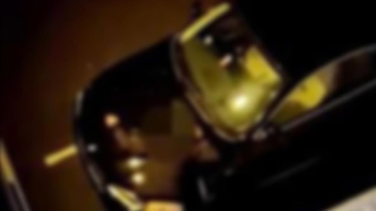 a fost trezita in miezul noptii de zgomote ciudate venind de afara a incremenit cand a vazut ce se