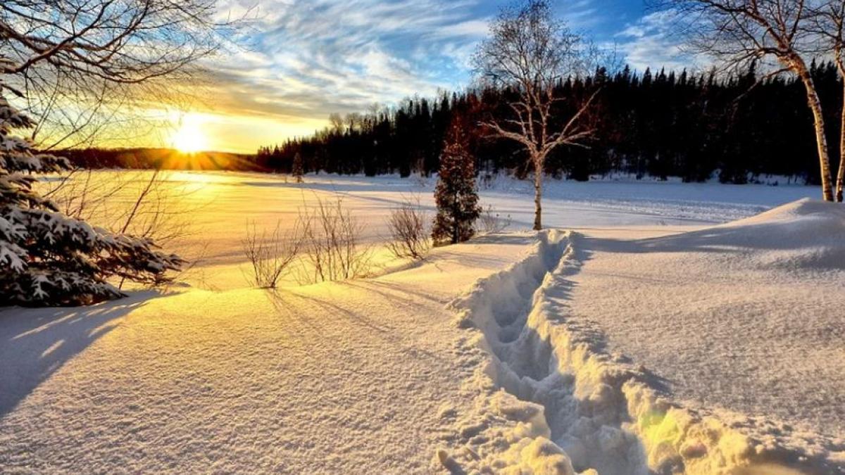 vremea prognoza meteo martie 2020