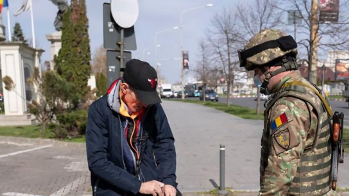 pestisor punga animal de companie restrictii coronavirus