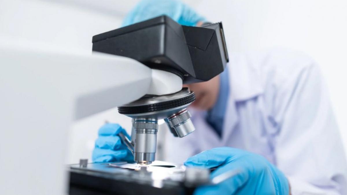 vremea caldura coronavirus raspandire