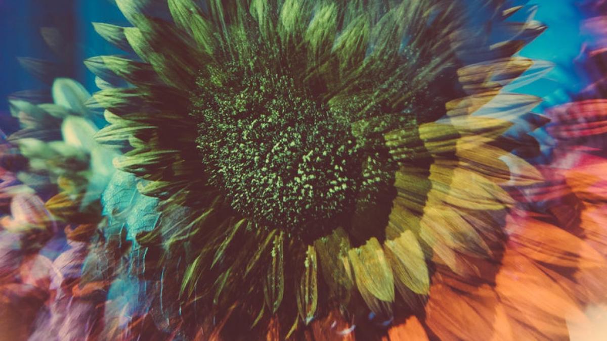 sfatul astrologic pe care trebuie sa il urmezi in sezonul berbecului in functie de zodie