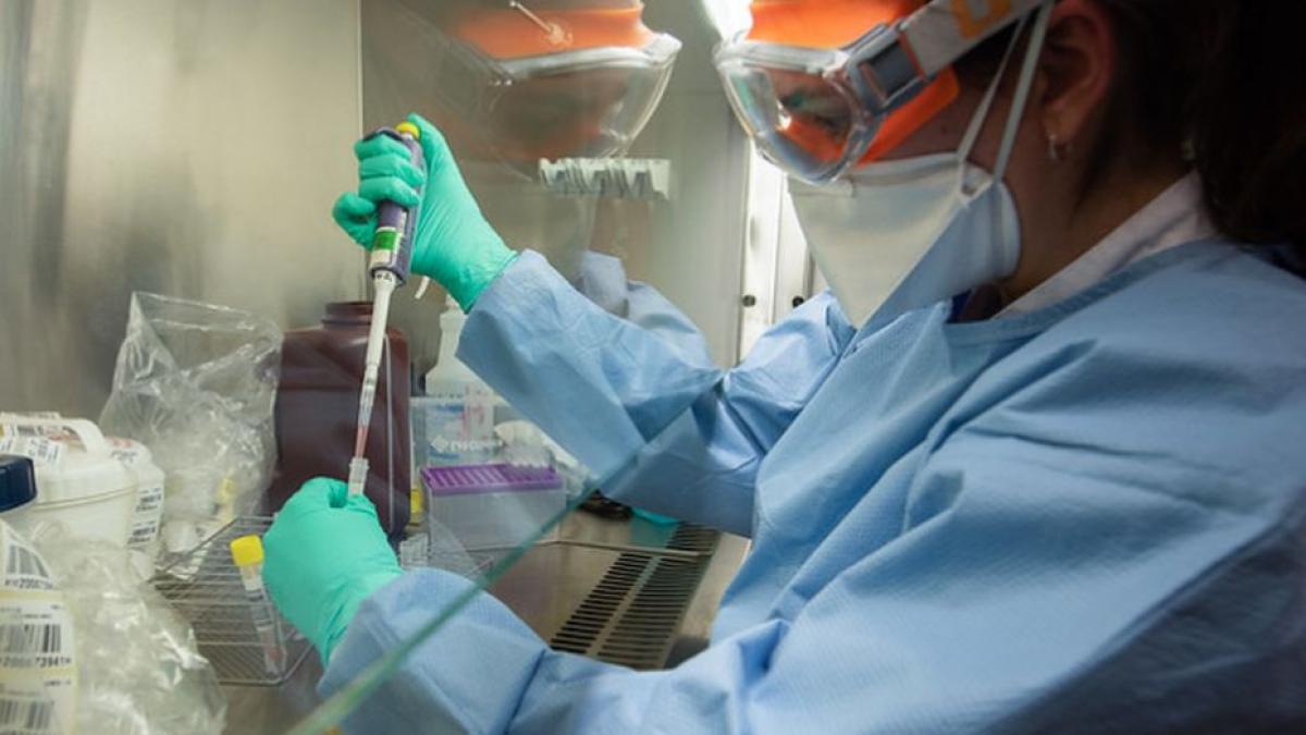 director spital victor babes coronavirus