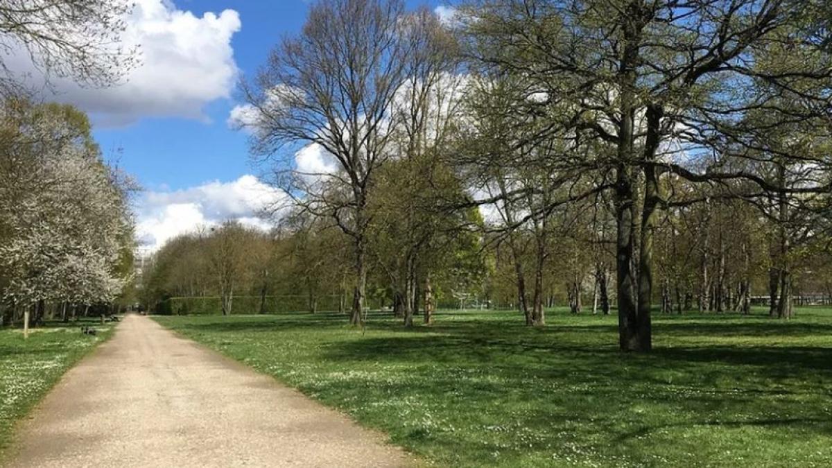 prognoza meteo luna martie 2020