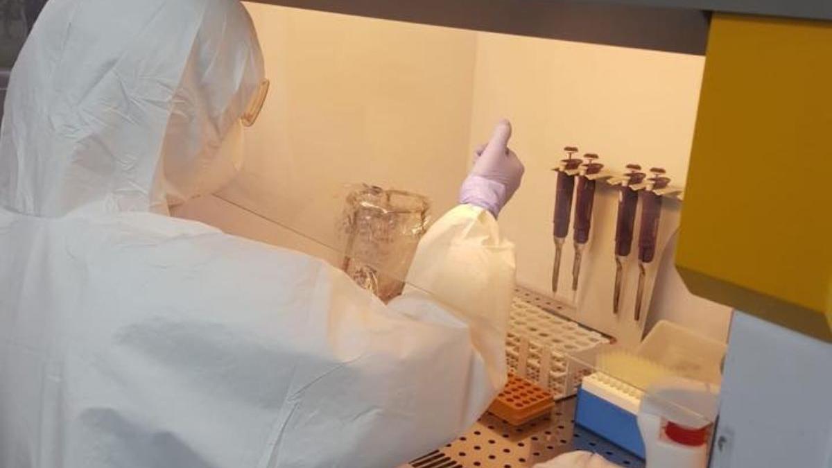 imagini in premiera cu aparatele de testare covid 19 achizitionate de primaria capitalei gabriela