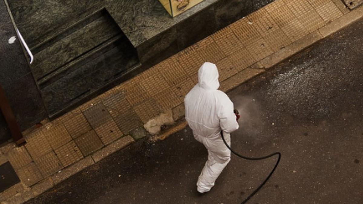 sinteza zilei studiu coronavirus