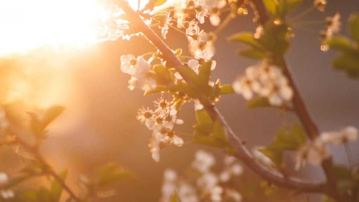 prognoza meteo luna aprilie