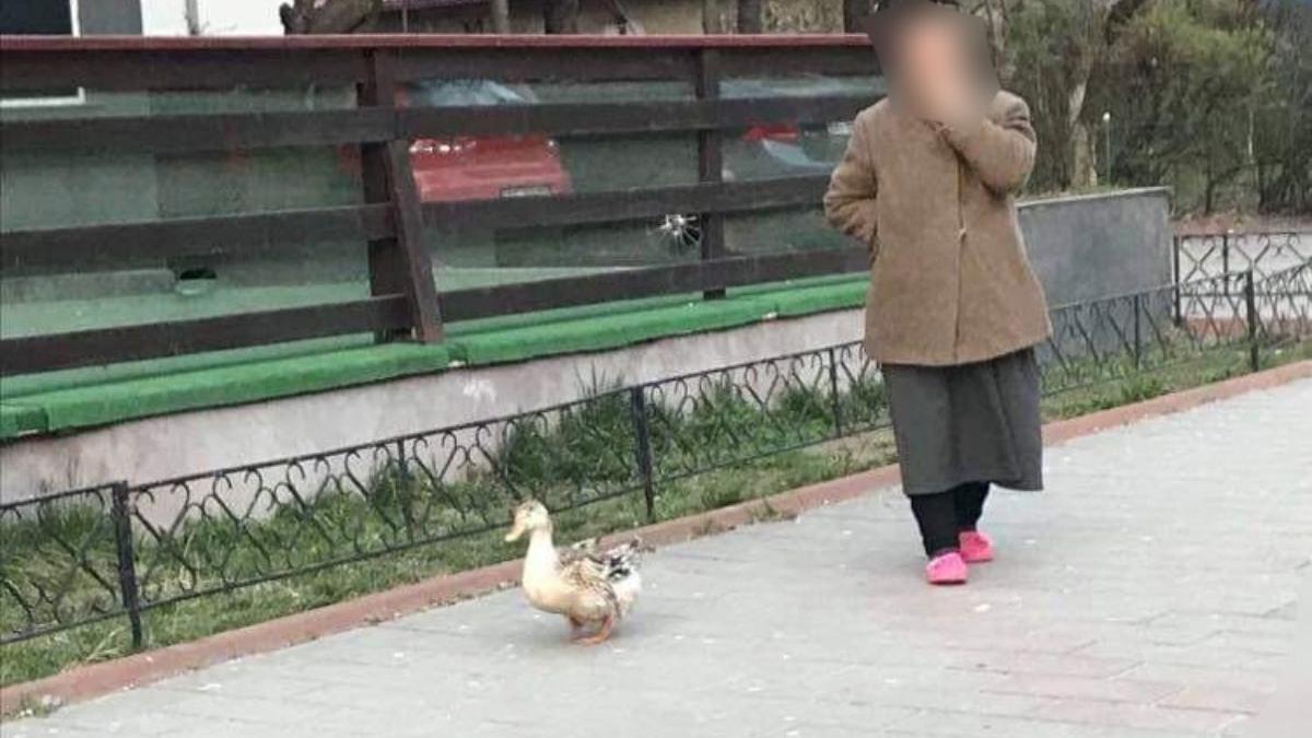 batrana botosani politie plimba rata