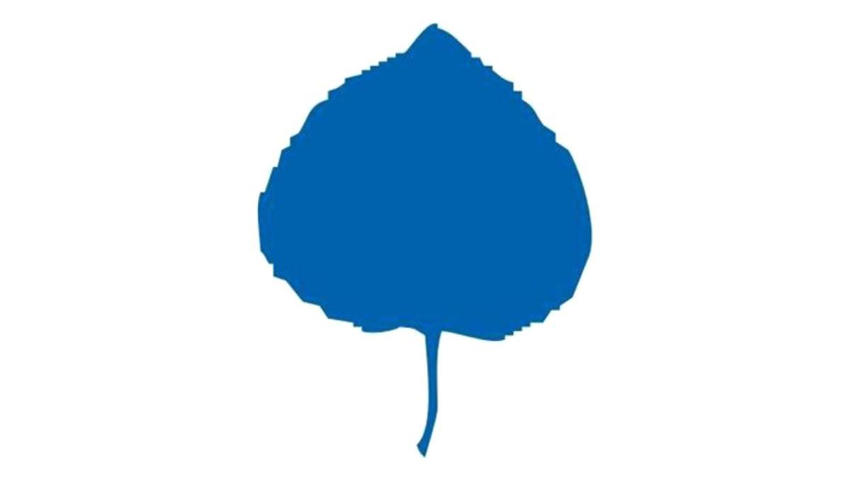 institutul aspen romania scrisoare deschisa