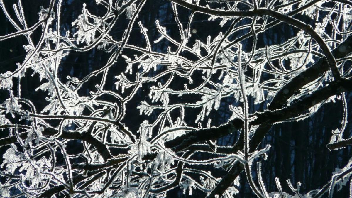 meteorologi vreme deosebit de rece pentru aceasta perioada pana vineri