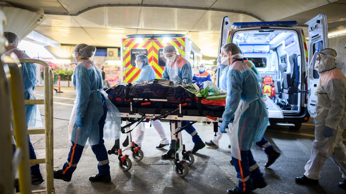 mihai tudose mesaj epidemie cimitir