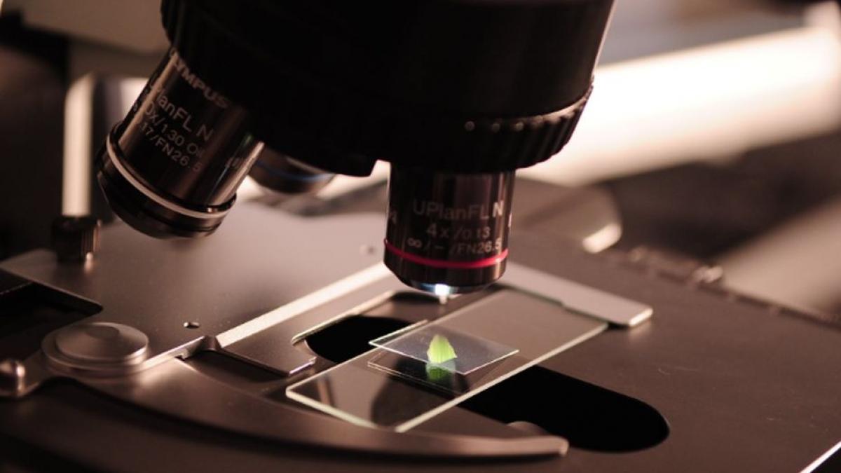 pacient externat coronavirus bistrita nasaud