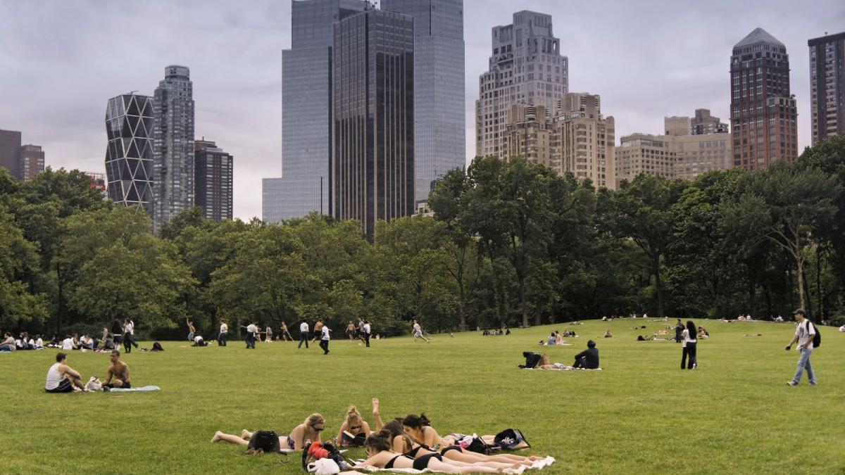 morti coronavirus ingropati parcuri new york