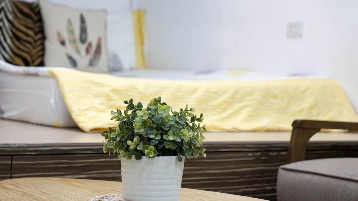 numai de bine gradinaritul sursa de sanatate fizica si psihica