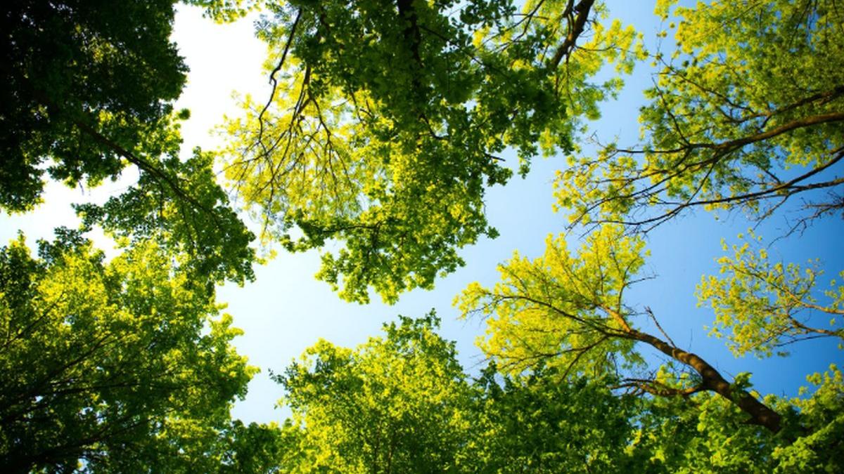 prognoza meteo aprilie 2020