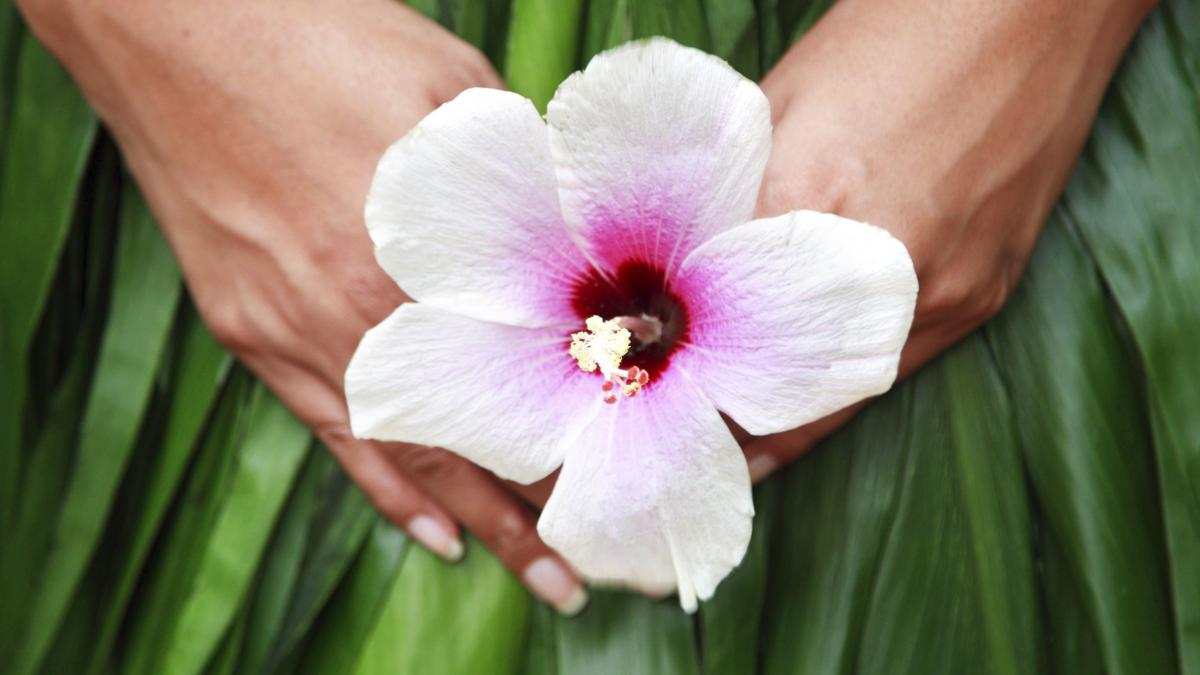 horoscop saptamana 6 12 aprilie zodiile care au zile pline de fericire le merge totul ca la carte