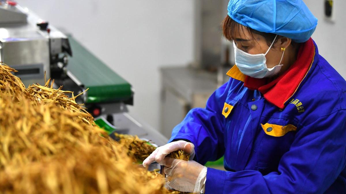 italia germania si anglia trec peste constrangerile pandemiei si cer muncitori romani