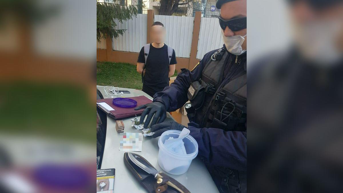 tanar carantina cluj napoca canabis cutit vanatoare