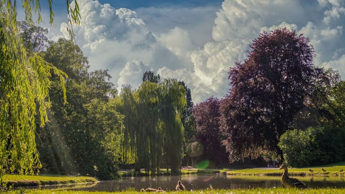 vremea prognoza meteo miercuri joi aprilie 2020