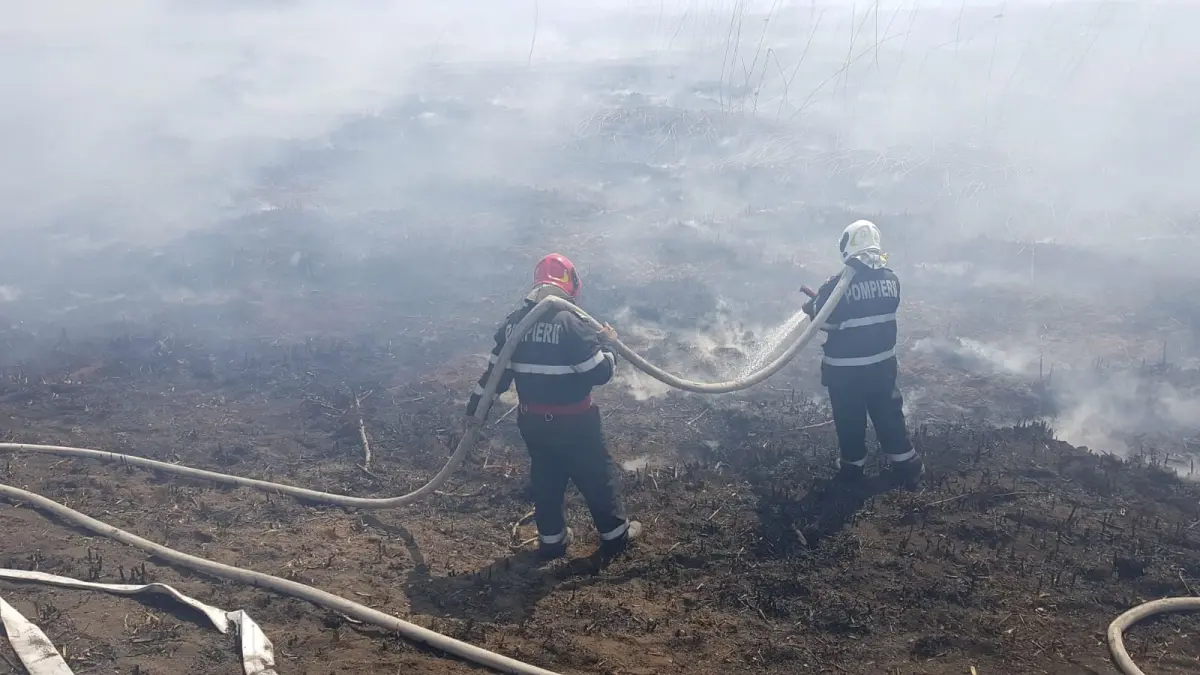 ministerul mediului calitate aer buna bucuresti incendiu peris