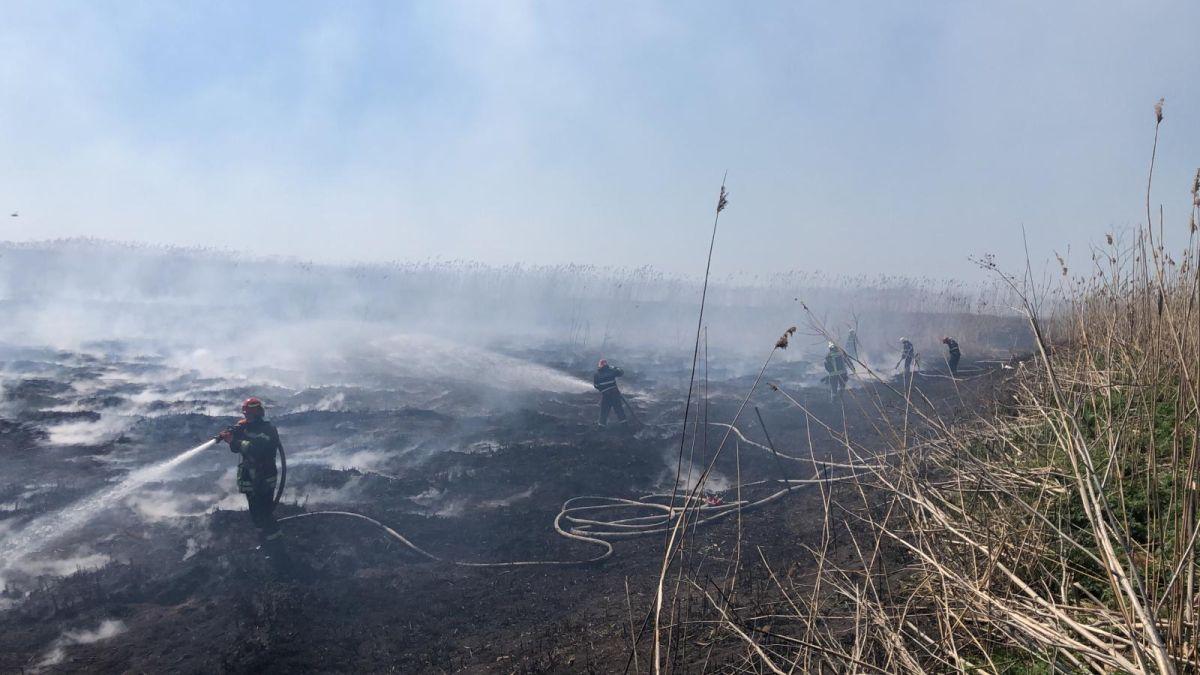 incendiu ferma porci peris poluare