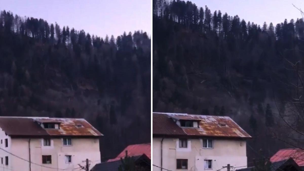 imagini versant prabusit padure azuga casa regala