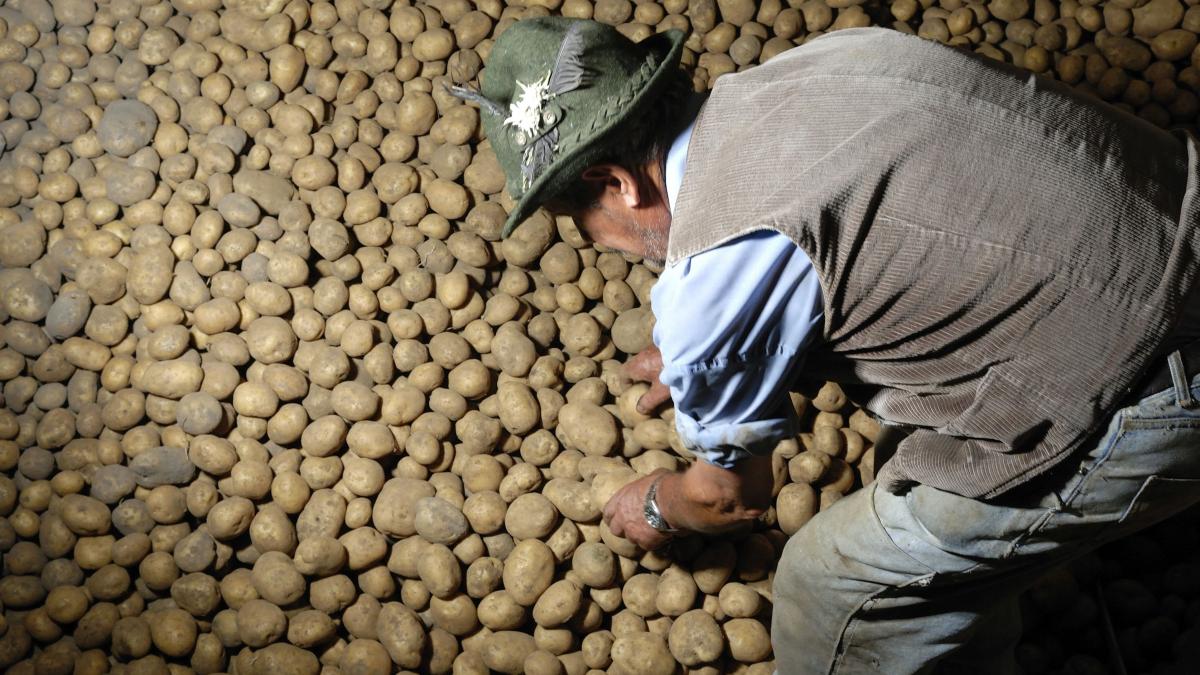 scumpiri cartofi fructe martie 2020