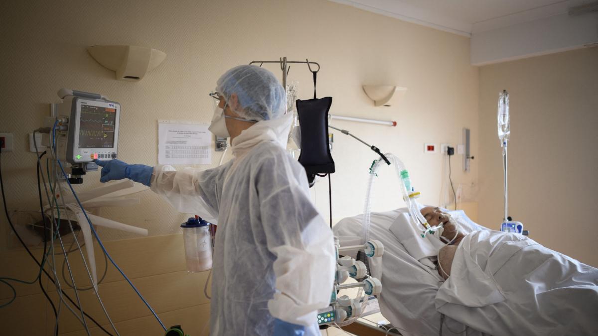 coronavirusul sufera mutatii se adapteaza pentru a trece de sistemul imunitar