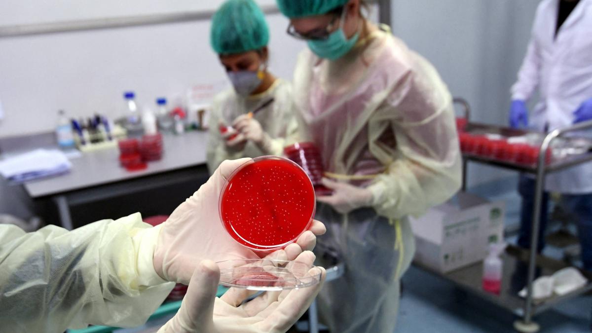 o asistenta medicala de 58 de ani din brasov confirmata cu covid 19 a murit