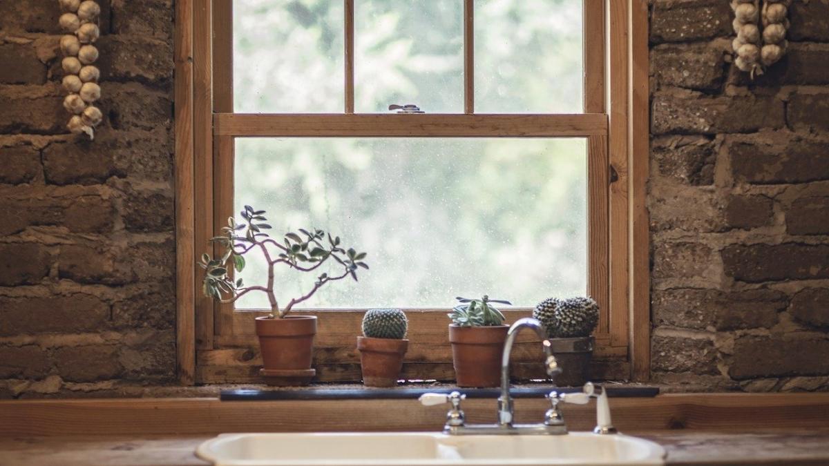 numai de bine stai acasa si planteaza flori