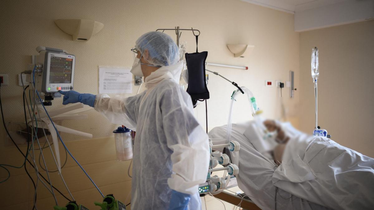 sinteza zilei marturie socanta de la arad am stat 6 ore incuiata in salon cu cadavrul unei alte