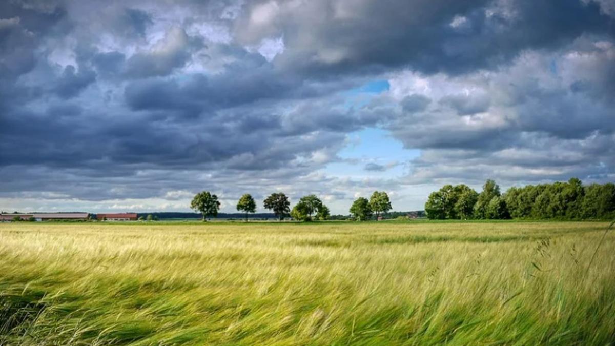 vremea prognoza meteo temperaturi frig