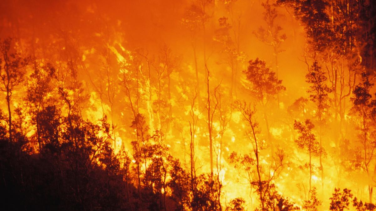 alerta din cauza incendiilor de la cernobil situatia va fi monitorizata de cncan