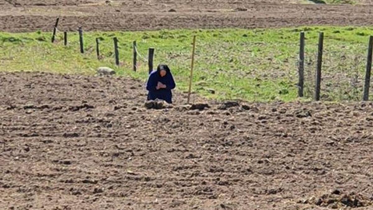 fotografie munca camp emotionant pandemie coronavirus