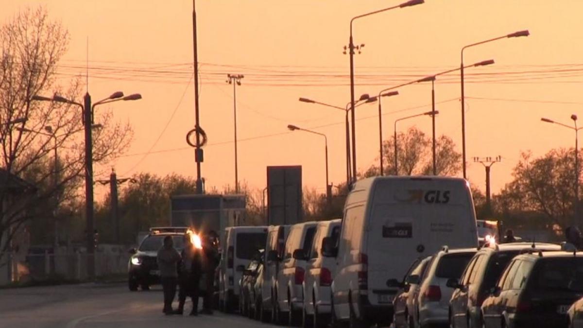 gravida avort nadlac