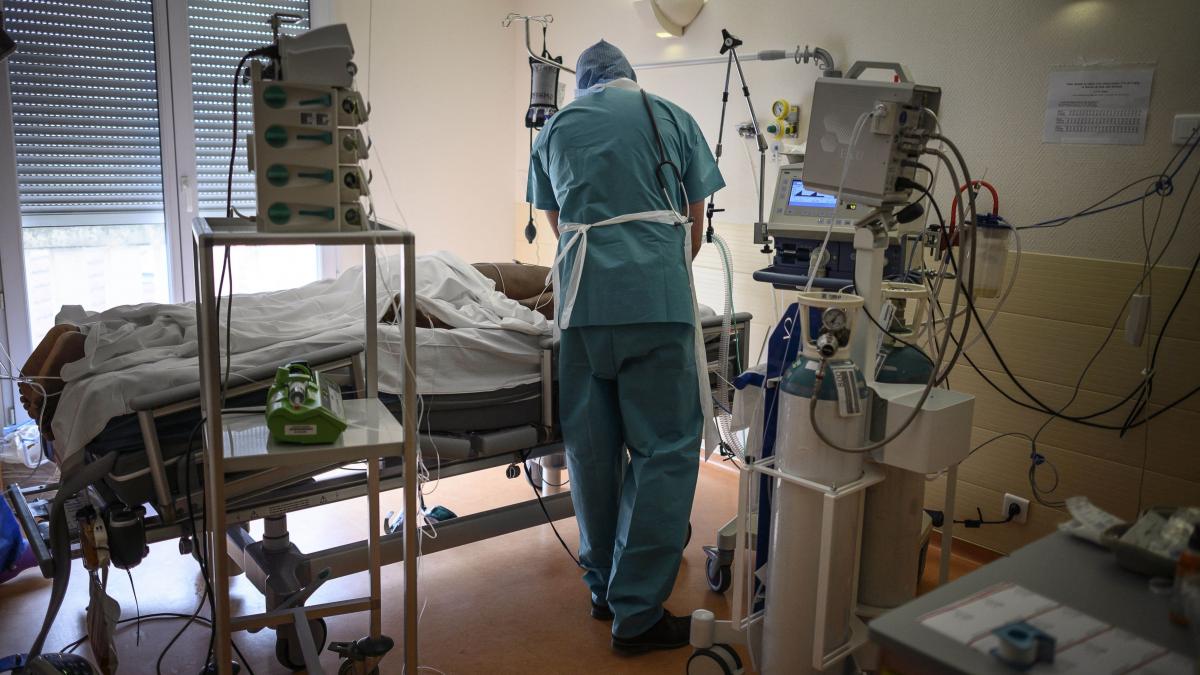 supravietuitor covid sicilia claude gatti