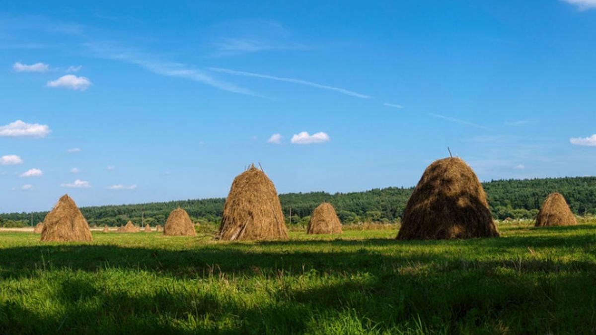 vremea prognoza meteo vinerea mare temperaturi