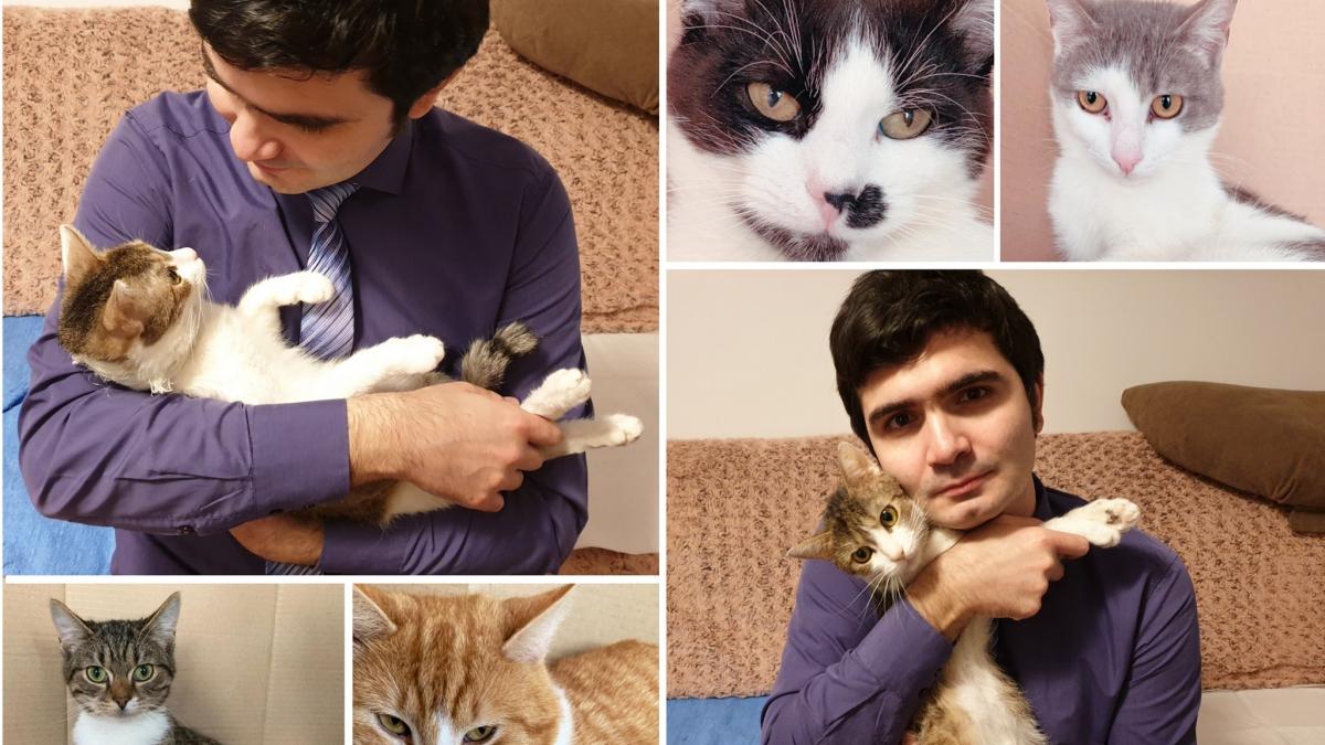 bogdan interpretul in limbaj mimico gestual de la mai mesaj emotionant pe facebook acum il privesc