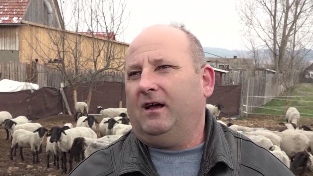 agricool patimile oierilor de paste cererea de miei mult mai mica decat oferta