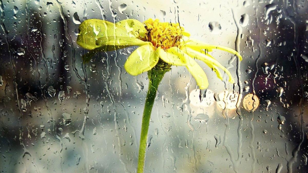 vremea se schimba radical vant ploi si temperaturi scazute in capitala se va raci accentuat