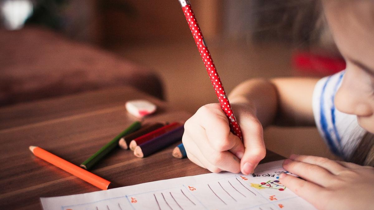 un profesor de la harvard atentioneaza invatatul de acasa este periculos ofera parintilor un