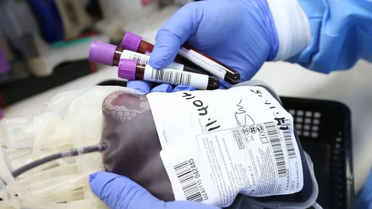 recoltare plasma coronavirus anticorpi pacienti vindecati