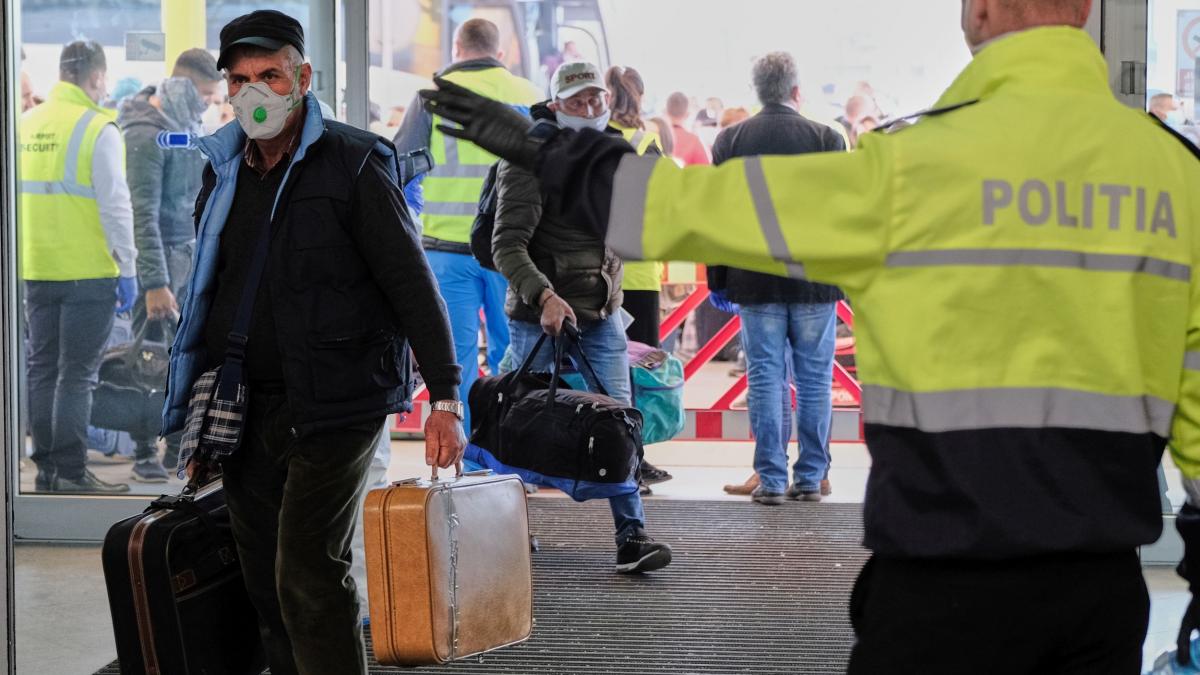 romania are un milion de someri numarul a crescut in numai 3 zile