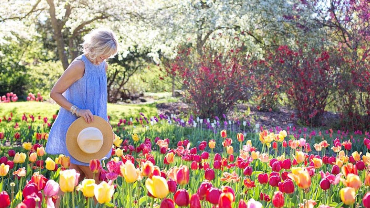 vremea prognoza meteo pana duminica 26 aprilie 2020